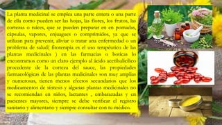 La planta medicinal se emplea una parte entera o una parte
de ella como pueden ser las hojas, las flores, los frutos, las
cortezas o raíces, que se pueden preparar en en pomadas,
cápsulas, vapores, enjuagues o comprimidos, ya que se
utilizan para prevenir, aliviar o tratar una enfermedad o un
problema de salud( fitoterapia es el uso terapéutico de las
plantas medicinales ) en las farmacias o boticas lo
encontramos como un claro ejemplo al ácido acetilsalicilico
procedente de la corteza del sauce, las propiedades
farmacológicas de las plantas medicinales son muy amplias
y numerosas, tienen menos efectos secundarios que los
medicamentos de síntesis y algunas plantas medicinales no
se recomiendan en niños, lactantes , embarazadas y en
pacientes mayores, siempre se debe verificar el registro
sanitario y alimentario y siempre consultar con tu médico.
 