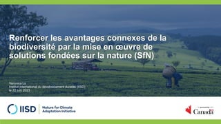 Renforcer les avantages connexes de la
biodiversité par la mise en œuvre de
solutions fondées sur la nature (SfN)
Veronica Lo
Institut international du développement durable (IISD)
le 22 juin 2023
 