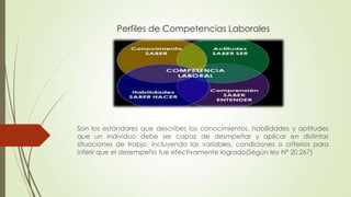 Perfiles de Competencias Laborales

Son los estándares que describes los conocimientos, habilidades y aptitudes
que un individuo debe ser capaz de desmpeñar y aplicar en distintas
situaciones de trabjo, incluyendo las variables, condiciones o criterios para
inferir que el desempeño fue efectivamente logrado(Según ley Nª 20.267)

 