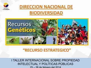 DIRECCION NACIONAL DE
BIODIVERSIDAD

“RECURSO ESTRATEGICO”
I TALLER INTERNACIONAL SOBRE PROPIEDAD
INTELECTUAL Y POLÍTICAS PÚBLICAS

 