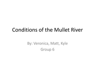 Conditions of the Mullet River

      By: Veronica, Matt, Kyle
              Group 6
 