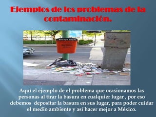 Veronica Medina Martinez