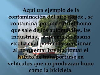 Veronica Medina Martinez