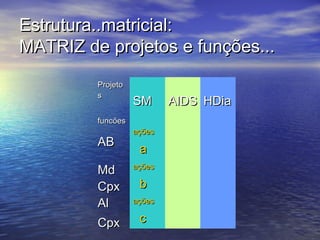 Estrutura..matricial:Estrutura..matricial:
MATRIZ de projetos e funções...MATRIZ de projetos e funções...
ProjetoProjeto
ss
funcõesfuncões
SMSM AIDSAIDS HDiaHDia
ABAB
açõesações
aa
MdMd
CpxCpx
açõesações
bb
AlAl
CpxCpx
açõesações
cc
 