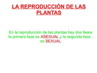 LA REPRODUCCIÓN DE LAS PLANTAS En la reproducción de las plantas hay dos fases la primera fase es  ASEXUAL ,y la segunda fase . es  SEXUAL . 
