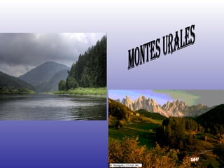 Montes urales 