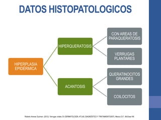 DATOS HISTOPATOLOGICOS
HIPERPLASIA
EPIDÉRMICA
HIPERQUERATOSIS
CON AREAS DE
PARAQUERATOSIS
VERRUGAS
PLANTARES
ACANTOSIS
QUERATINOCITOS
GRANDES
COILOCITOS
Roberto Arenas Guzman. (2013). Verrugas virales. En DERMATOLOGÍA, ATLAS, DIAGNÓSTICO Y TRATAMIENTO(937). Mexico D.F.: McGraw Hill.
 