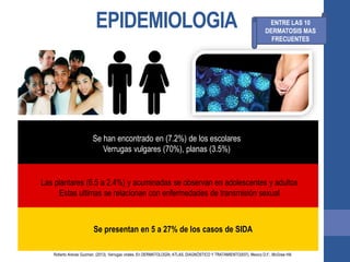 EPIDEMIOLOGIA ENTRE LAS 10
DERMATOSIS MAS
FRECUENTES
Se han encontrado en (7.2%) de los escolares
Verrugas vulgares (70%), planas (3.5%)
Las plantares (6.5 a 2.4%) y acuminadas se observan en adolescentes y adultos
Estas ultimas se relacionan con enfermedades de transmisión sexual
Se presentan en 5 a 27% de los casos de SIDA
Roberto Arenas Guzman. (2013). Verrugas virales. En DERMATOLOGÍA, ATLAS, DIAGNÓSTICO Y TRATAMIENTO(937). Mexico D.F.: McGraw Hill.
 