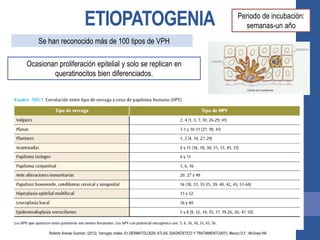 ETIOPATOGENIA
Se han reconocido más de 100 tipos de VPH
Ocasionan proliferación epitelial y solo se replican en
queratinocitos bien diferenciados.
Periodo de incubación:
semanas-un año
Roberto Arenas Guzman. (2013). Verrugas virales. En DERMATOLOGÍA, ATLAS, DIAGNÓSTICO Y TRATAMIENTO(937). Mexico D.F.: McGraw Hill.
 