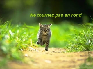 Ne tournez pas en rond 