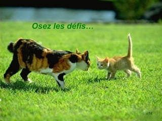 Osez les défis… 