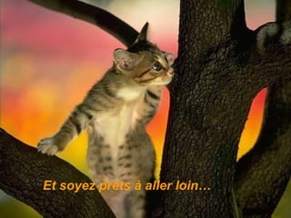 Et soyez prêts à aller loin…   