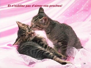 Et n’oubliez pas d’aimer vos proches! 