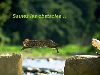 Sautez les obstacles… 