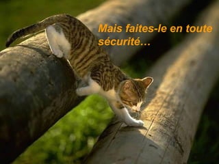 Mais faites-le en toute sécurité… 