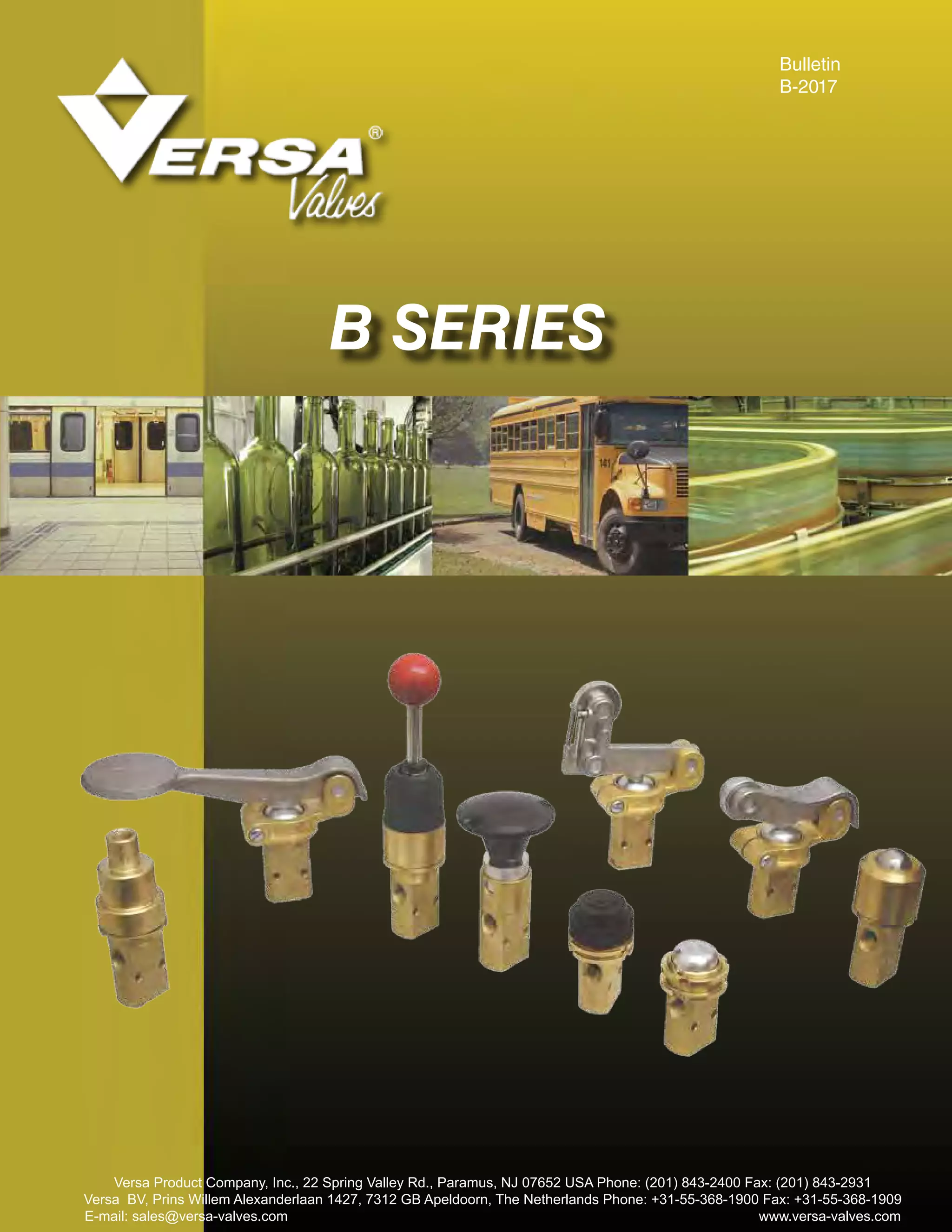 Versa bseriesbrassvalves PDF