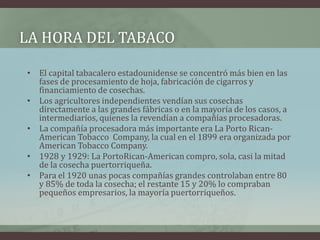LA HORA DEL TABACO
• El capital tabacalero estadounidense se concentró más bien en las
fases de procesamiento de hoja, fabricación de cigarros y
financiamiento de cosechas.
• Los agricultores independientes vendían sus cosechas
directamente a las grandes fábricas o en la mayoría de los casos, a
intermediarios, quienes la revendían a compañías procesadoras.
• La compañía procesadora más importante era La Porto Rican-
American Tobacco Company, la cual en el 1899 era organizada por
American Tobacco Company.
• 1928 y 1929: La PortoRican-American compro, sola, casi la mitad
de la cosecha puertorriqueña.
• Para el 1920 unas pocas compañías grandes controlaban entre 80
y 85% de toda la cosecha; el restante 15 y 20% lo compraban
pequeños empresarios, la mayoría puertorriqueños.
 