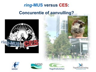 ring-MUS versus CES:
Concurentie of aanvulling?
 