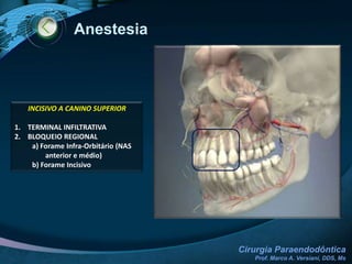 Exames Clínico-Radiográfico