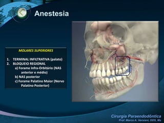 Exames Clínico-Radiográfico
