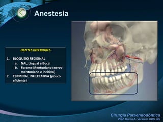 Exames Clínico-Radiográfico