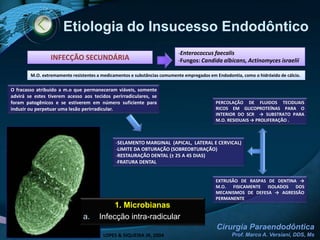 Etiologia do Insucesso EndodônticoEnterococcusfaecalis