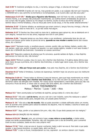 Joel 2:30 “E mostrarei prodígios no céu, e na terra, sangue e fogo, e colunas de fumaça.”
Naum 1:3 “O SENHOR é tardio em irar-se, mas grande em poder, e ao culpado não tem por inocente;
o SENHOR tem o seu caminho na tormenta e na tempestade, e as nuvens são o pó dos seus pés.”
Habacuque 3:17-19: “ Ainda que a figueira não floresce, nem há fruto na vide; o produto da
oliveira mente, e os campos não produzem mantimento; as ovelhas foram arrebatadas do aprisco e
nos currais não há gado, todavia eu me alegro no Senhor, exulto no Deus da minha salvação. O
Senhor Deus é minha fortaleza, e faz os meus pés como os da corça, e me faz andar altaneiramente.”
Sofonias 3:15 “ O Senhor afastou as sentenças que eram contra ti, lançou fora teu inimigo; o Rei de
Israel, o Senhor, está no meio de ti ; tu já não verás mal algum.
Sofonias 3:17 “O Senhor teu Deus está no meio de ti, poderoso para salvar-te; ele se deleitará em ti
com alegria; renovar-te-á no seu amor, regozijar-se-á em ti com júbilo.”
Sofonias 3:20: “ Naquele tempo eu vou farei voltar e vos recolherei; certamente farei de vós um
nome e um louvor entre todos os povos da terra, quando eu vou mudar a sorte diante dos vossos
olhos, diz o Senhor.”
Ageu 1:6-7 “Semeais muito, e recolheis pouco; comeis, porém não vos fartais; bebeis, porém não
vos saciais; vesti-vos, porém ninguém se aquece; e o que recebe salário, recebe-o num saco furado.7
Assim diz o SENHOR dos Exércitos: Considerai os vossos caminhos.”
Ageu 2:5 “Segundo a palavra da aliança que fiz convosco, quando saístes do Egito, o meu Espírito
permanece no meio de vós; não temais.”
Ageu 2:8-9 “Minha é a prata, meu é o ouro, diz o Senhor dos Exércitos. 9 A glória desta última casa
será maior do que a primeira, diz o Senhor dos Exércitos; e neste lugar darei a paz, diz o Senhor dos
Exércitos.”
Zacarias 3:6 “...Não por força nem por poder, mas pelo meu Espírito, diz o Senhor dos Exércitos.”
Zacarias 9:12 “Voltai à fortaleza, ó presos de esperança; também hoje vos anuncio que vos restituirei
em dobro.”
Malaquias 3:10-11 “ Trazei todos os dízimos à casa do tesouro, para que haja mantimento na minha
casa, e provai-me nisto, diz o Senhor dos Exércitos, se eu não vos abrir as janelas do céu, e não
derramar sobre vós bênçãos sem medida. Por vossa causa repreenderei o devorador, para que não vos
consuma o fruto da terra; a vossa vide no campo não sera estéril, diz o Senhor dos Exércitos.”
NOVO TESTAMENTO
Mateus – Marcos – Lucas – João – Atos
Mateus 5:2 “ Bem aventurados os humildes de espírito, porque deles é o reino dos céus.”
Mateus 5:13 “ Vós sois o sal da terra; ora se o sal vier a ser insípido, como lhe restaurar o sabor?
Para nada mais presta senão para, lançado fora, ser pisado pelos homens.”
Mateus 5: 14 “ Vós sois a luz do mundo. Não se pode esconder a cidade edificada sobre um monte,
nem se acende uma candeia para colocá-la debaixo do alqueire, mas no velador, e alumia a todos que
se encontram na casa.”
Mateus 5:37 “ Seja, porém a tua palavra:Sim,sim; não, não. O que disto passar,vem do maligno.”
Mateus 6:9-13 ORAÇÃO DO PAI NOSSO
Mateus 6:33-34 “ Buscai, pois, em primeiro lugar, o seu reino e a sua justiça, e todas estas
coisas vos serão acrescentadas. Portanto, não vos inquieteis com o dia de amanhã, pois o amanhã
trará os seus cuidados; basta ao dia o seu próprio mal.”
Mateus 7:7-8 “ Pedi, e dar-se-vos-á; buscai e achareis; batei e abrir-se-vos-á. Pois todo o que pede
recebe; o que busca encontra; e a quem bate, abrir-se-lhe-á.”
Mateus 7:25 “ e caiu a chuva, transbordaram os rios, sopraram os ventos e deram com ímpeto
 