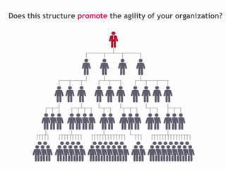 Does this structure promote the agility of your organization?

 