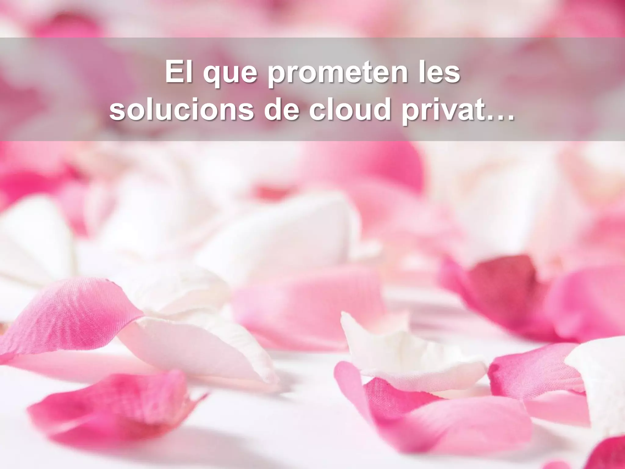 El que prometen les
solucions de cloud privat…
 
