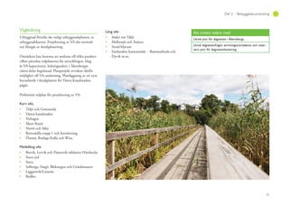 75
Del 2 – Bebyggelseutveckling
Vägledning
Utbyggnad föreslås ske enligt utbyggnadsplanen, se
utbyggnadskartan. Projektering av VA ska normalt
sett föregås av detaljplanering.
Områdena kan komma att anslutas till olika punkter
vilket påverkar tidplanerna för utvecklingen. Idag
är VA-kapaciteten, ledningsnätet, i Åkersbergas
västra delar begränsad. Planprojekt avvaktar därför
möjlighet till VA-anslutning. Planläggning av ett nytt
huvudstråk i detaljplanen för Västra Kanalstaden,
pågår.
Preliminär tidplan för projektering av VA:
Kort sikt,
Täljö och Gottsunda
Västra kanalstaden
Nyhagen
Åkers Runö
Norrö och Säby
Rosenkälla etapp 1 och fortsättning
Östanå, Roslags-Kulla och Wira.
Medellång sikt
Brevik, Lervik och Flaxenvik inklusive Härsbacka
Stava syd
Stava
Solberga, Singö, Blekungen och Grindmossen
Laggarsvik/Linanäs
Rydbo.
Lång sikt
Söder om Täljö
Mellansjö och Åsättra
Arnö/Marum
Fastlandets kustområde - Bammarboda och
Dyvik m.m.
Att arbeta vidare med
Utred ytor för dagvatten i Åkersberga.
Utred dagvattenfrågor avrinningsområdesvis och reser-
vera ytor för dagvattenhantering.
 