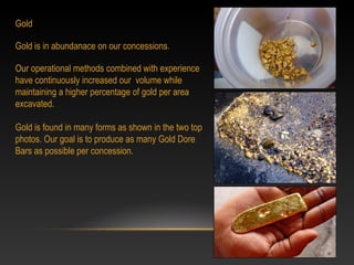 Gold
 
Gold is in abundanace on our concessions.
Our operational methods combined with experience 
have continuously increased our  volume while 
maintaining a higher percentage of gold per area 
excavated.
Gold is found in many forms as shown in the two top 
photos. Our goal is to produce as many Gold Dore 
Bars as possible per concession.
 
 