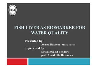 FISH LIVER AS BIOMARKER FOR
WATER QUALITY
Presented by:
Asmaa Hashem , Master student

Supervised by :
Dr Nashwa El-Bendary
prof Aboul Ella Hassanien

 