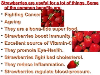 Strawberries are useful for a lot of things. SomeStrawberries are useful for a lot of things. Some
of the common benefits are:of the common benefits are:

Fighting CancerFighting Cancer

AgeingAgeing

They are a bona-fide super food.They are a bona-fide super food.

Strawberries boost immunity.Strawberries boost immunity.

Excellent source of Vitamin-C.Excellent source of Vitamin-C.

They promote Eye-Health.They promote Eye-Health.

Strawberries fight bad cholesterol.Strawberries fight bad cholesterol.

They reduce inflammation.They reduce inflammation.

Strawberries regulate blood-pressure.Strawberries regulate blood-pressure.
 