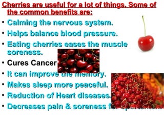 Cherries are useful for a lot of things. Some ofCherries are useful for a lot of things. Some of
the common benefits are:the common benefits are:

Calming the nervous system.Calming the nervous system.

Helps balance blood pressure.Helps balance blood pressure.

Eating cherries eases the muscleEating cherries eases the muscle
soreness.soreness.

Cures CancerCures Cancer

It can improve the memory.It can improve the memory.

Makes sleep more peaceful.Makes sleep more peaceful.

Reduction of Heart diseases.Reduction of Heart diseases.

Decreases pain & soreness for sportsmen.Decreases pain & soreness for sportsmen.
 