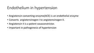 Endothelium in hypertension
• Angiotensin-converting-enzyme(ACE) is an endothelial enzyme
• Converts angiotensinogen I to angiotensinogen II.
• Angiotensin II is a potent vasoconstrictor.
• Important in pathogenesis of hypertension
 
