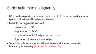 Endothelium in malignancy
• EC growth supports metabolic requirement of tumor beyond few mm
(growth of primary & metastatic tumor)
• Possible pathogenesis involved
stimulation of EC
degradation of ECM
proliferation of EC & migration into tumor
Formation of new capillary tubes
• Tumor vessels are tortuous, dilated, uneven diameter, excessive
branching & shunting (lacks perivascular cells)
 