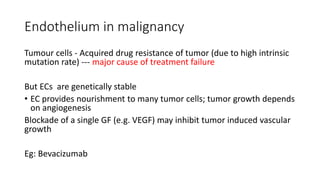 Endothelium in malignancy
Tumour cells - Acquired drug resistance of tumor (due to high intrinsic
mutation rate) --- major cause of treatment failure
But ECs are genetically stable
• EC provides nourishment to many tumor cells; tumor growth depends
on angiogenesis
Blockade of a single GF (e.g. VEGF) may inhibit tumor induced vascular
growth
Eg: Bevacizumab
 