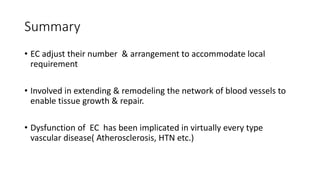 Summary
• EC adjust their number & arrangement to accommodate local
requirement
• Involved in extending & remodeling the network of blood vessels to
enable tissue growth & repair.
• Dysfunction of EC has been implicated in virtually every type
vascular disease( Atherosclerosis, HTN etc.)
 