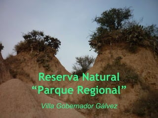 Reserva Natural
“Parque Regional”
Villa Gobernador Gálvez
 
