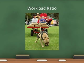 Workload Ratio
 