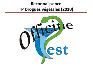 Reconnaissance
TP Drogues végétales (2010)
 