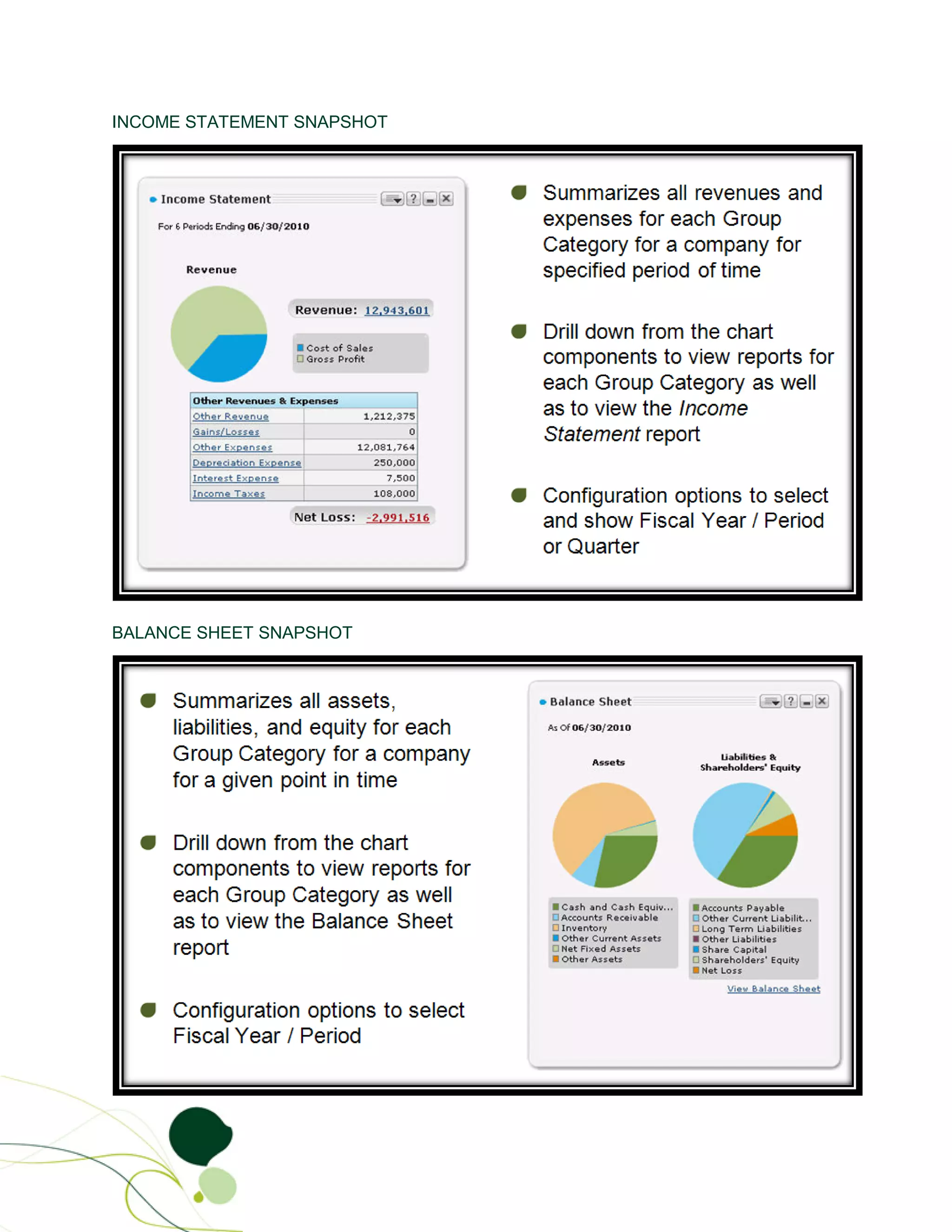 INCOME STATEMENT SNAPSHOT




BALANCE SHEET SNAPSHOT
 