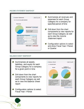INCOME STATEMENT SNAPSHOT




BALANCE SHEET SNAPSHOT
 