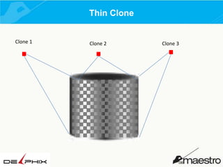 Thin Clone
Clone 1

Clone 2

Clone 3

 