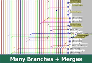 Many Branches + Merges
 