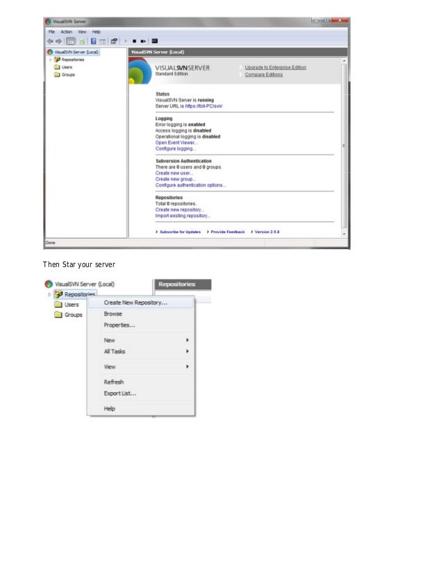 visualsvn export repository