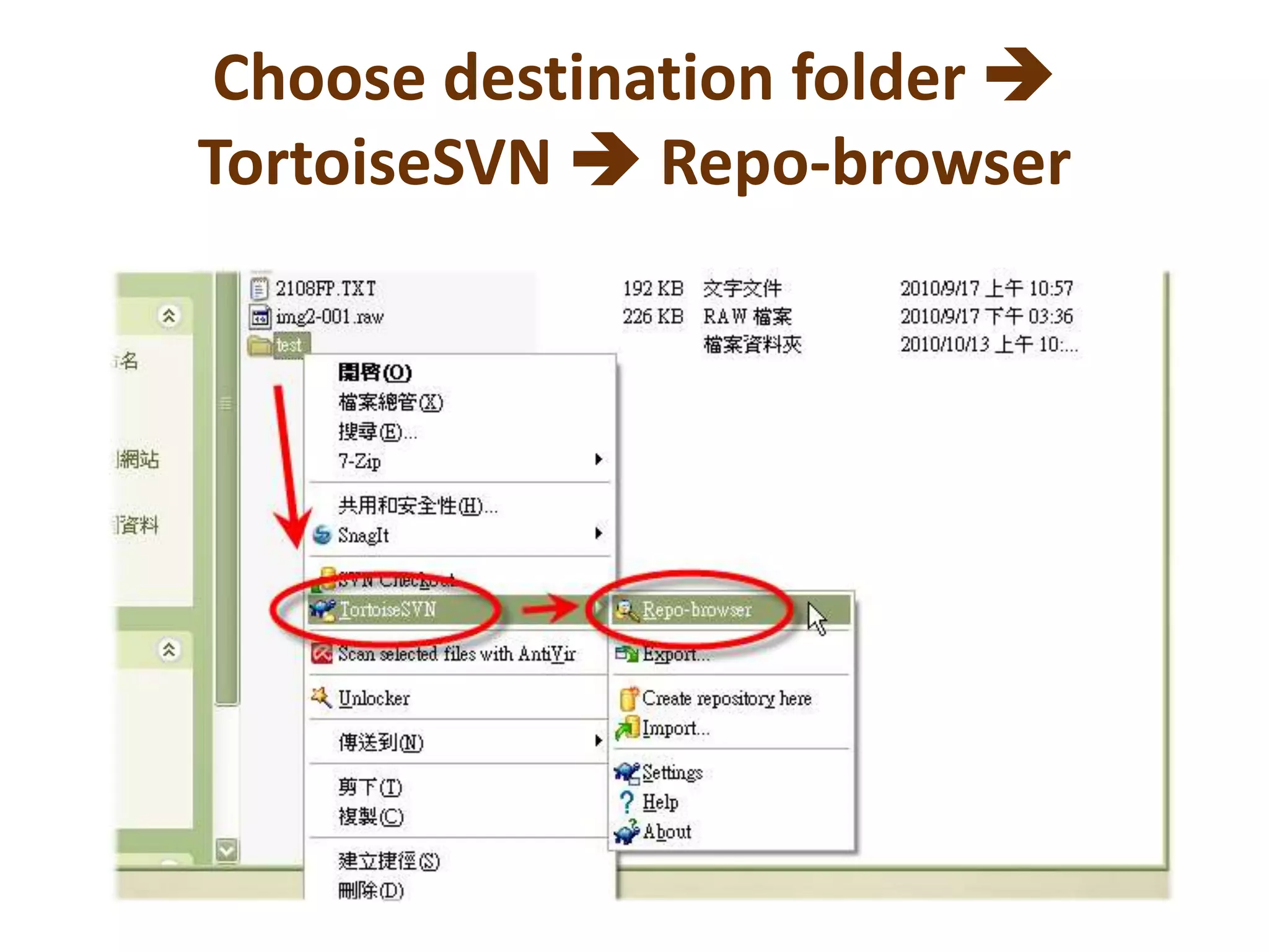 Choose destination folder TortoiseSVN Repo-browser