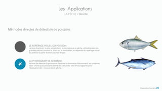 Méthodes directes de détection de poissons
Les Applications
LA PÈCHE / Directe
Diapositive Numéro 25
LE REPÉRAGE VISUEL DU POISSON
La plus directe et la plus simple dans le domaine de la pêche, utilisabledans les
grandes pêches comme le thon ou le menhaden, et dépende du repérage visuel
du poisson à partir d'avion pour se diriger.
LA PHOTOGRAPHIE AÉRIENNE.
Permet de détecter le poisson et d'estimer la biomasse. Récemment, les systèmes
laser à forte puissanceont donné des résultats très encourageants pour
l'évaluationdes ressourcesde pêche.
 