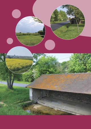 Version finale bm 2020