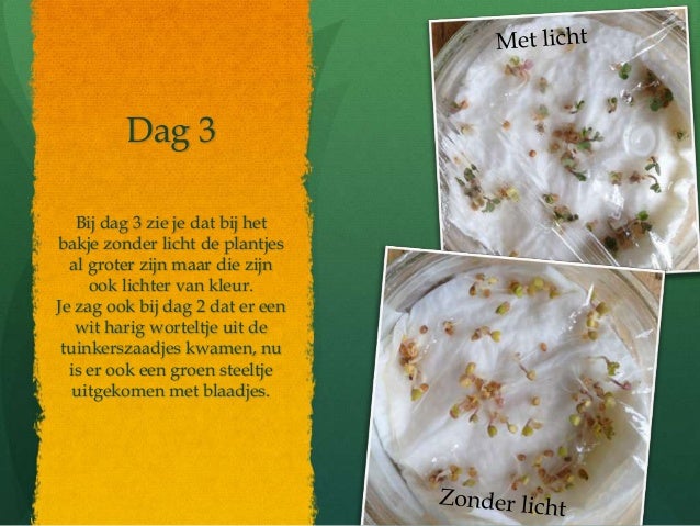 Verslag ontkiemen